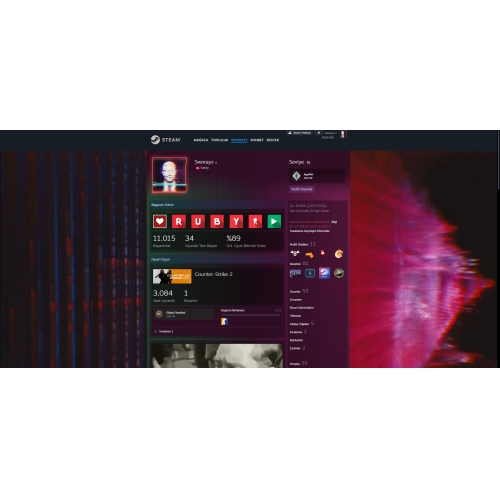  80LVL STEAM HESABI